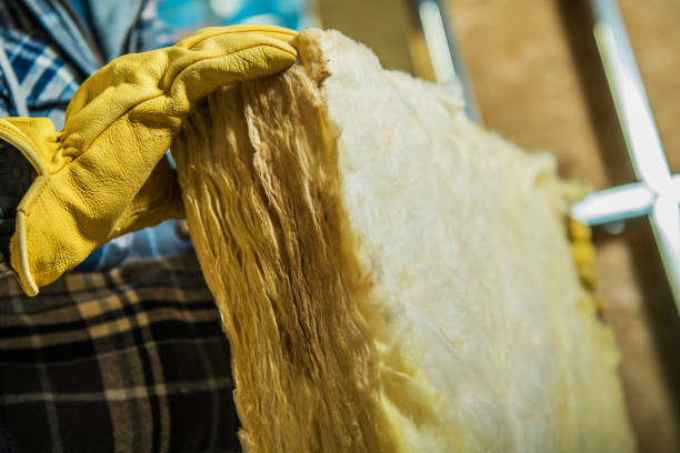 Insulation Replacement Services in Brownsville, FL