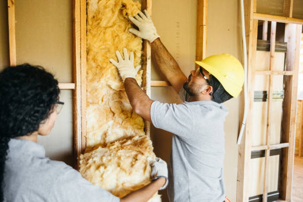 Best Insulation Contractors for Homes  in Brownsville, FL