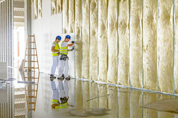 Best Local Insulation Services  in Brownsville, FL